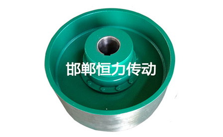 NGCLZ型帶制動(dòng)輪鼓形齒...